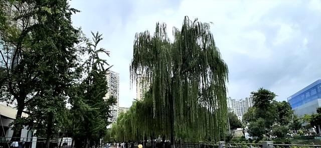 跑了16年才悟透的跑步哲学：跑得快是本事！跑得快乐是本质！