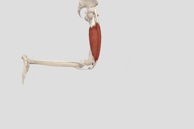 走路时膝盖突然“软	”一下，别以为是累了，或许是这些疾病的信号