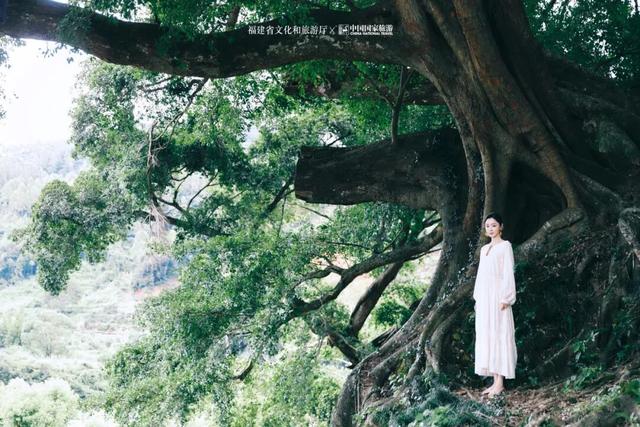 宋轶，在福建山海间读懂畲族