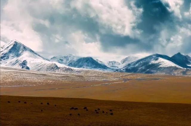 西藏最震撼的4座8000米雪山同框奇景，此生必看！