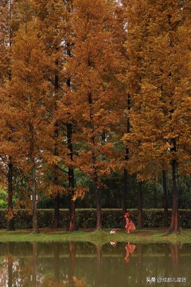 成都公园地图丨晒太阳不打挤的20个公园,东南西北全覆盖