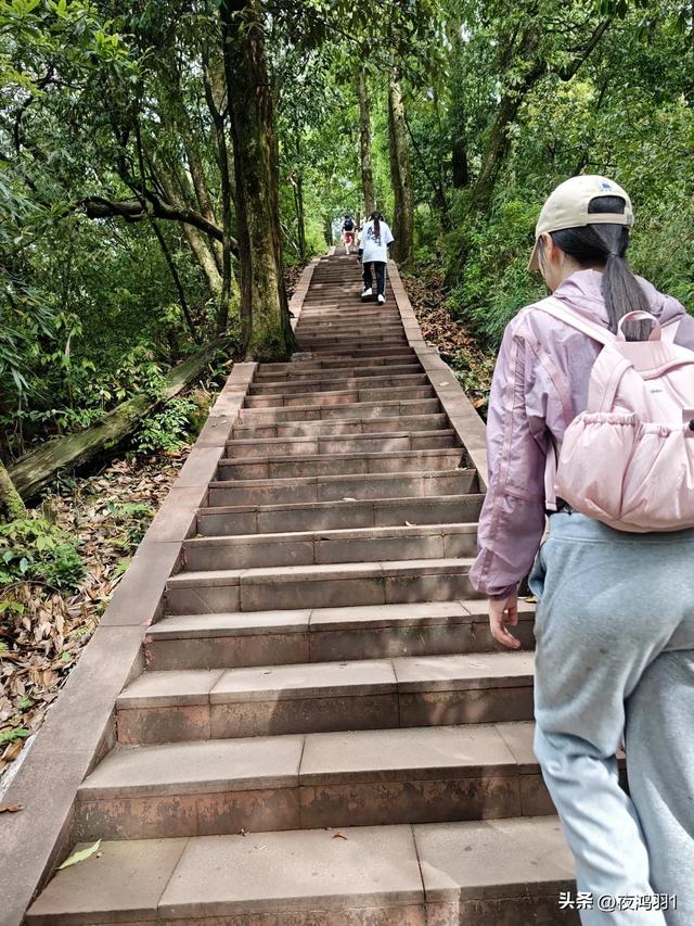 徒步瓦屋山,太艰难了,坚持下来不容易