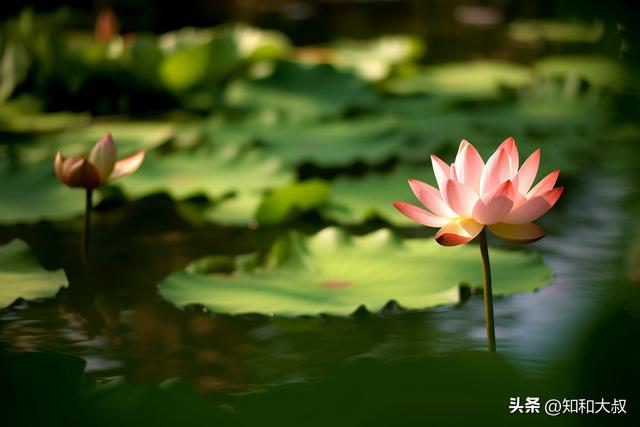 “人有福，藏不住”，有福气的女人，未必漂亮，但有这3个特征