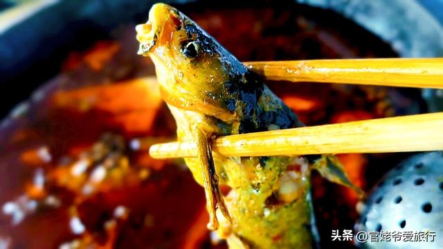 成都周边游，三道堰寻味苗苗鱼，真鲜美