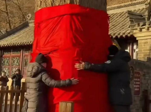 罗晋携任素汐与母亲去祈福