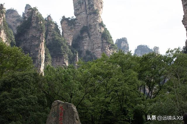 张家界国家森林公园的自然诗篇