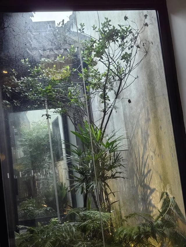 在无锡，这个集休闲放松阅读拍照为一体的宝藏地值得你去
