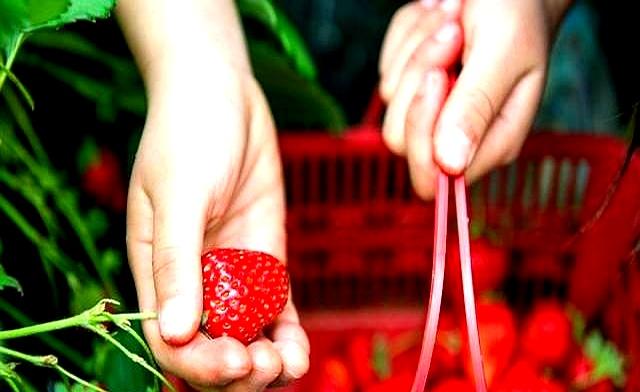 女人隐私为什么只给丈夫看？一位女性说出了看法！让你大开眼界！