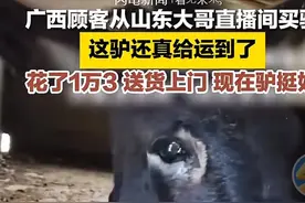 笑不活了！广西男子网上买驴，坐等“踩坑”准备报警，驴坐车到了图片