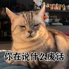 128GB 手机退休上热搜！网友：这版本纯恶心人...