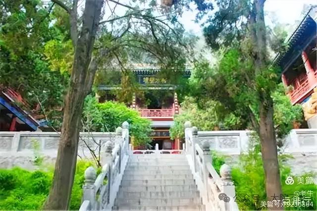 老牛｜我看到的潮洲景色