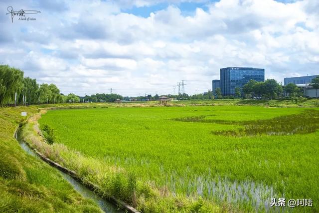 杭州有个钱江经济开发区地处余杭，还在曾经的獐山石矿场建起公园