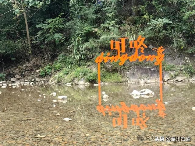 这个凭借21℃的天然清凉悄然“出圈”的森林小镇，别具异域风情！