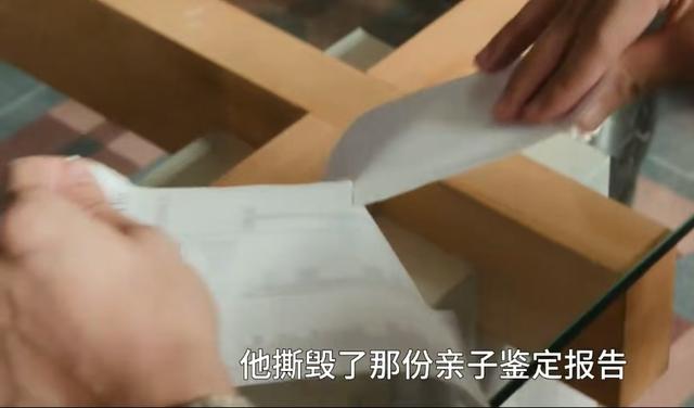 《许我耀眼》大结局：沈皓明撕毁亲子鉴定姥姥一句话点破婚姻真相