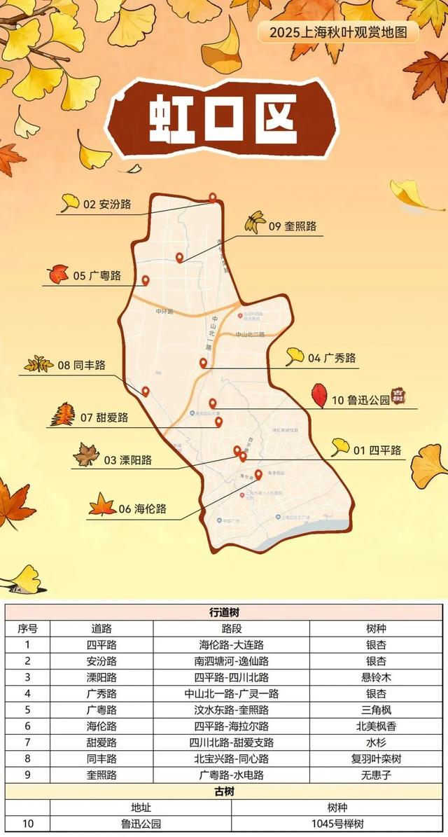 2025上海秋叶地图出炉，徐汇这些点位不可错过！