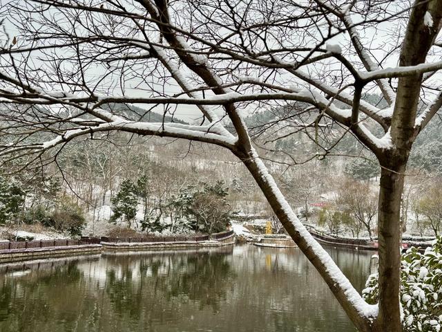 瑞雪飘然而至中国海滨城市青岛