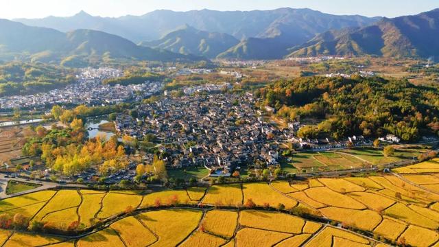 注意！这个景区部分路段动态管控