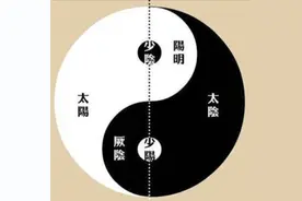 简单一味药，肾阴、肾阳、肾精全补足，堪比“十全大补丸”图片