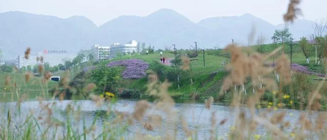 周末晒太阳!这几地有湖水+草坪+1h可达