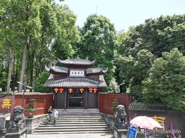 成都徒步（64）·新津篇③观音寺
