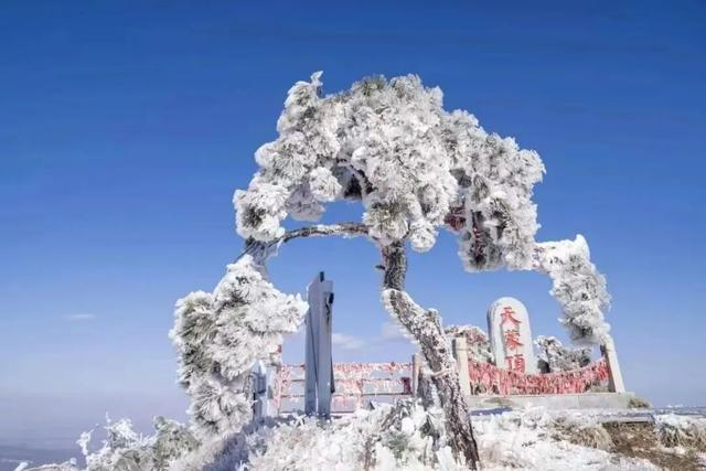 大雪至沂蒙，山水待君游