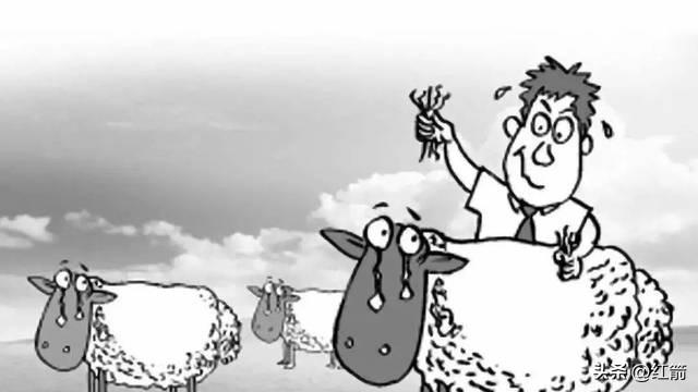 职场“薅羊毛”：权力滥用下的无奈逃离