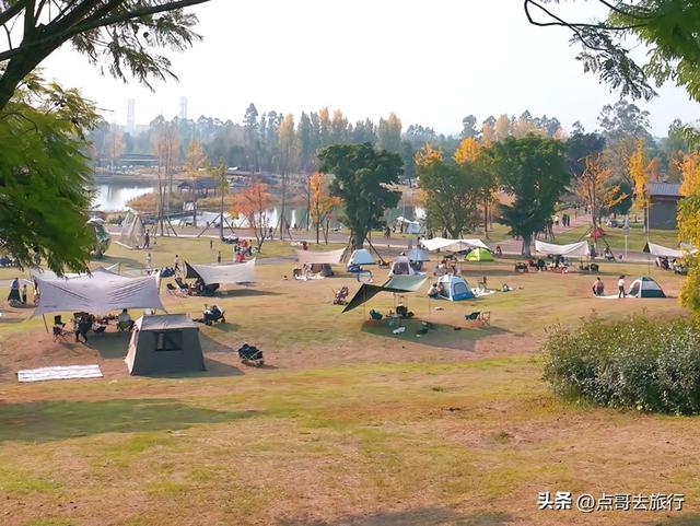 成都市区最大免费露营地，可以烧烤、烤肉，公共交通可到达！