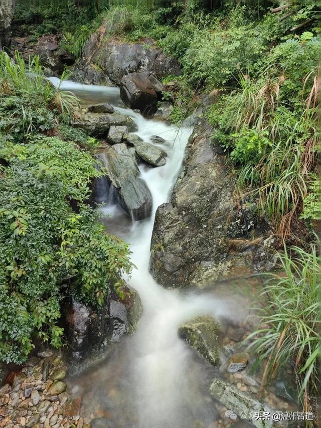 夏天你不能错过的浙南九寨沟！幽谷俊山，碧波荡漾，美得不像人间