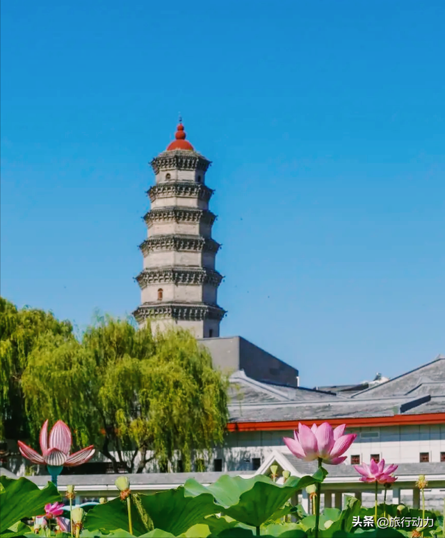 山东糊涂啊，枣庄4个独一无二的景点，赶快宣传吧！