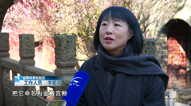 白玉兰绽放、松鼠互动体验，这里有点好玩哦