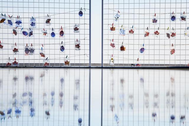 赏一山仙境 品百里金秋｜2025金华山踏秋活动盛大启幕