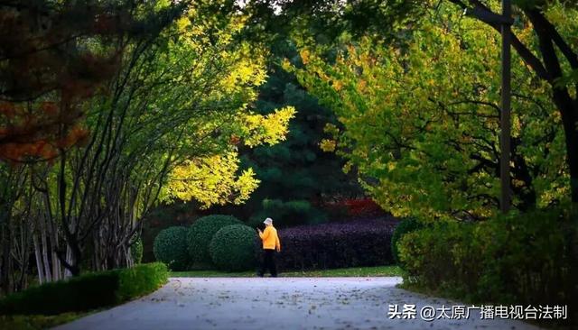 太原创森|赏“秋”正当时！来太原这个公园遇见最美秋日