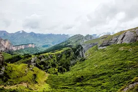 为什么有人在同学群不说话，却也不退群，不参加同学聚会？图片