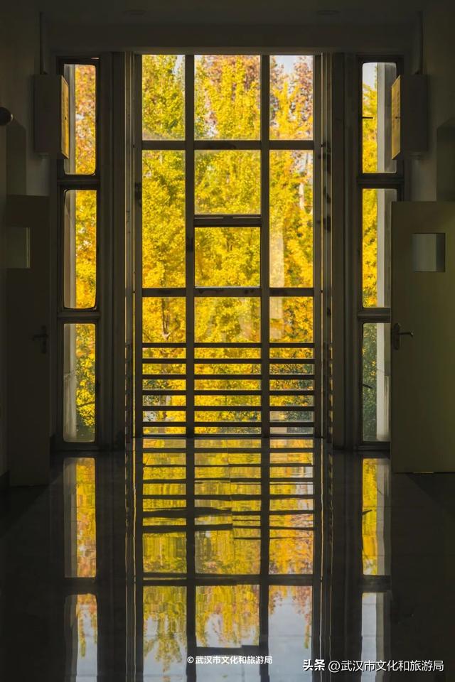 限时绝美！武汉街头颜值巅峰，地铁直达