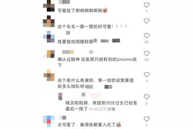 泡泡玛特魔性舞蹈火了！股价堪比“塑料茅台”！一只玩偶翻10倍不止！买家在线求图片