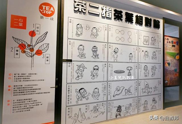 南投名间景点 天空步道、茶园秘境、品味台湾茶文化