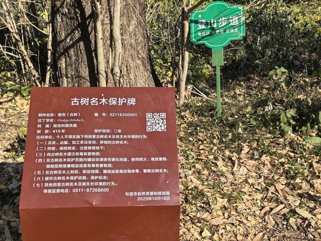 南京第二次到镇江武岐山空青山郊野徒步