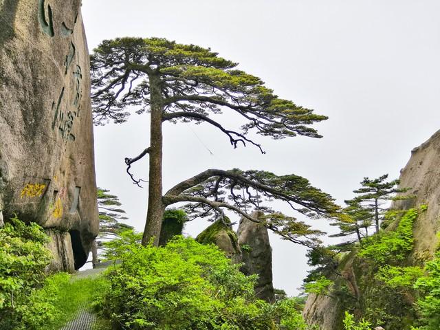 这辈子一定要去的8个地方，去过4个算合格，你去过几个？