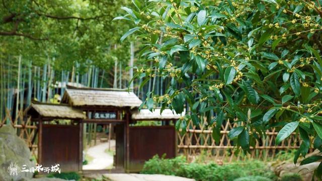 秋日预“景”！接下来的三国水浒城是这样的~