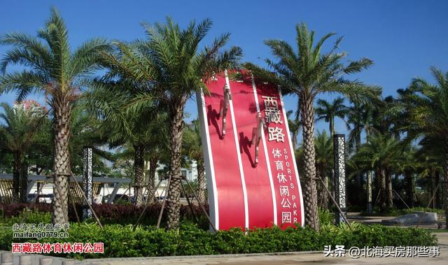 逐个数一数北海现在颇有名气的越冬旅居“候鸟乐园”