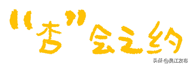 周末去打卡丨“杏”会！颜值高峰来了！