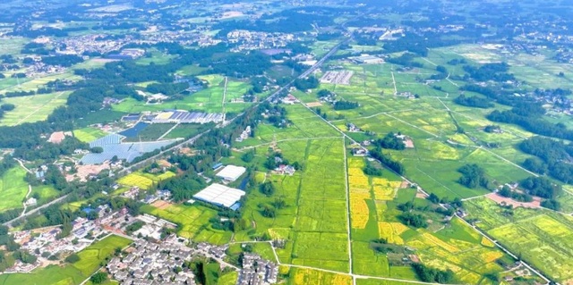 四川省崇州市历史沿革及行政区划