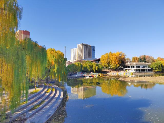 初冬，石家庄裕西公园落叶飘飘！
