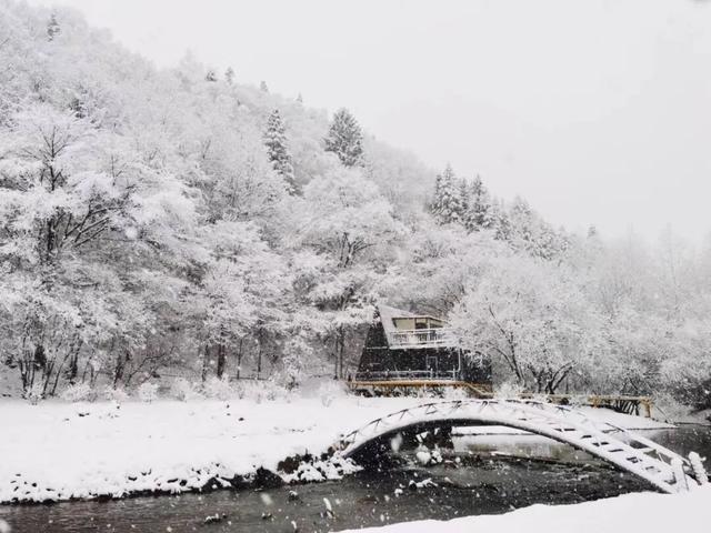 长白山冬日“天花板”！这3条宝藏路线，看到第一条就想出发