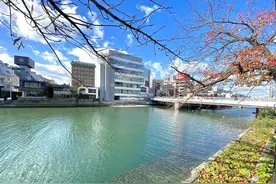 日本为什么“允许医学生本科直博？”图片