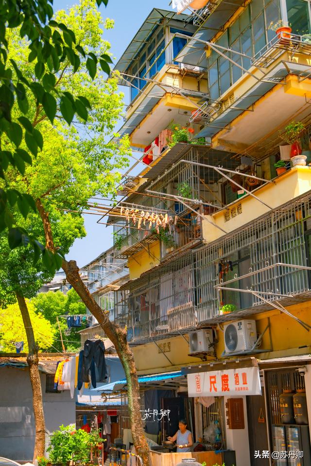 武汉周边游！发现了一座“去班味”的宝藏小城：春末夏初citywalk