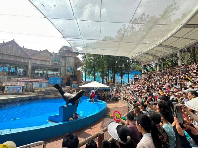 亲子探秘蔚蓝世界，广州海洋馆科普游圆满举办