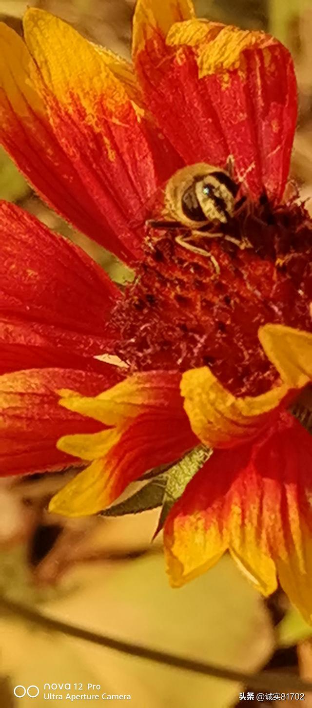 情怕骗，心怕伤，爱怕哄骗，信任怕伤害