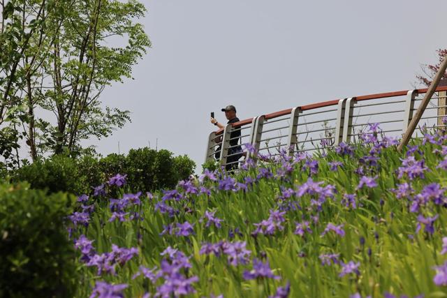 重庆中央公园片区滨水公园+1！包含八大主题景点