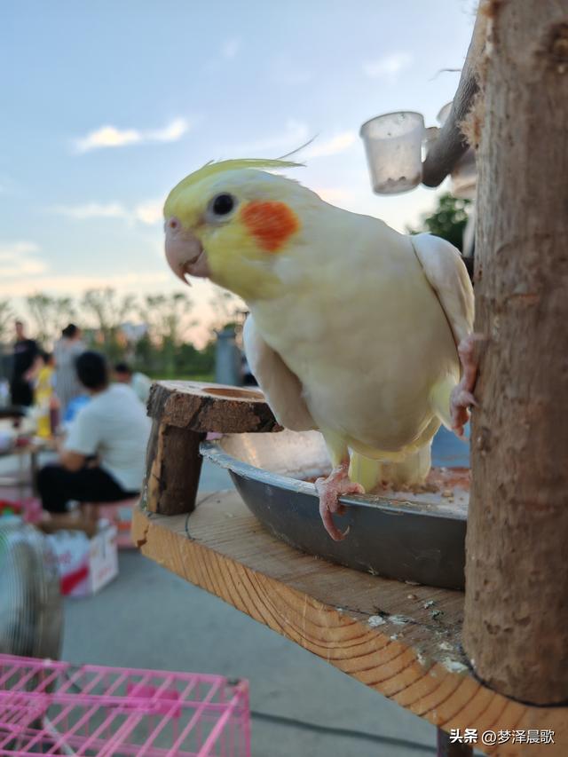 千年古城云梦 繁荣热闹的夜经济